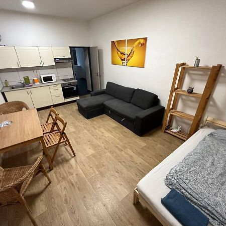 ブルノApartmans In The Center With Privat Parkingアパートメント エクステリア 写真